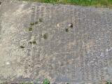 image of grave number 947353